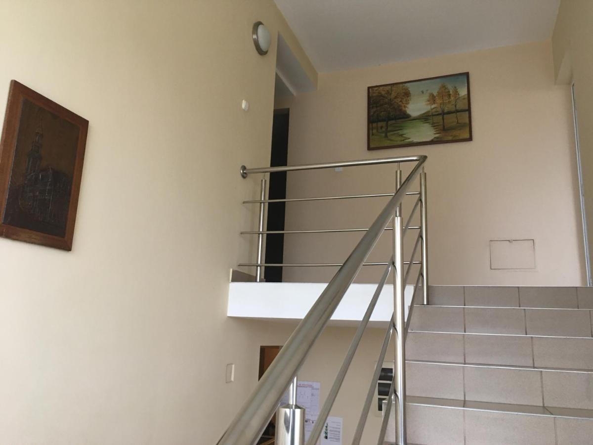 Pensiunea Brigi Satu Mare Luaran gambar