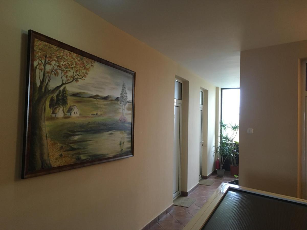 Pensiunea Brigi Satu Mare Luaran gambar