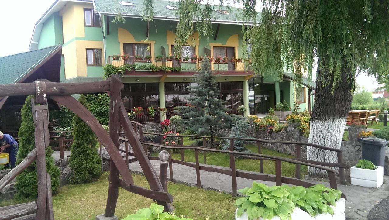 Pensiunea Brigi Satu Mare Luaran gambar